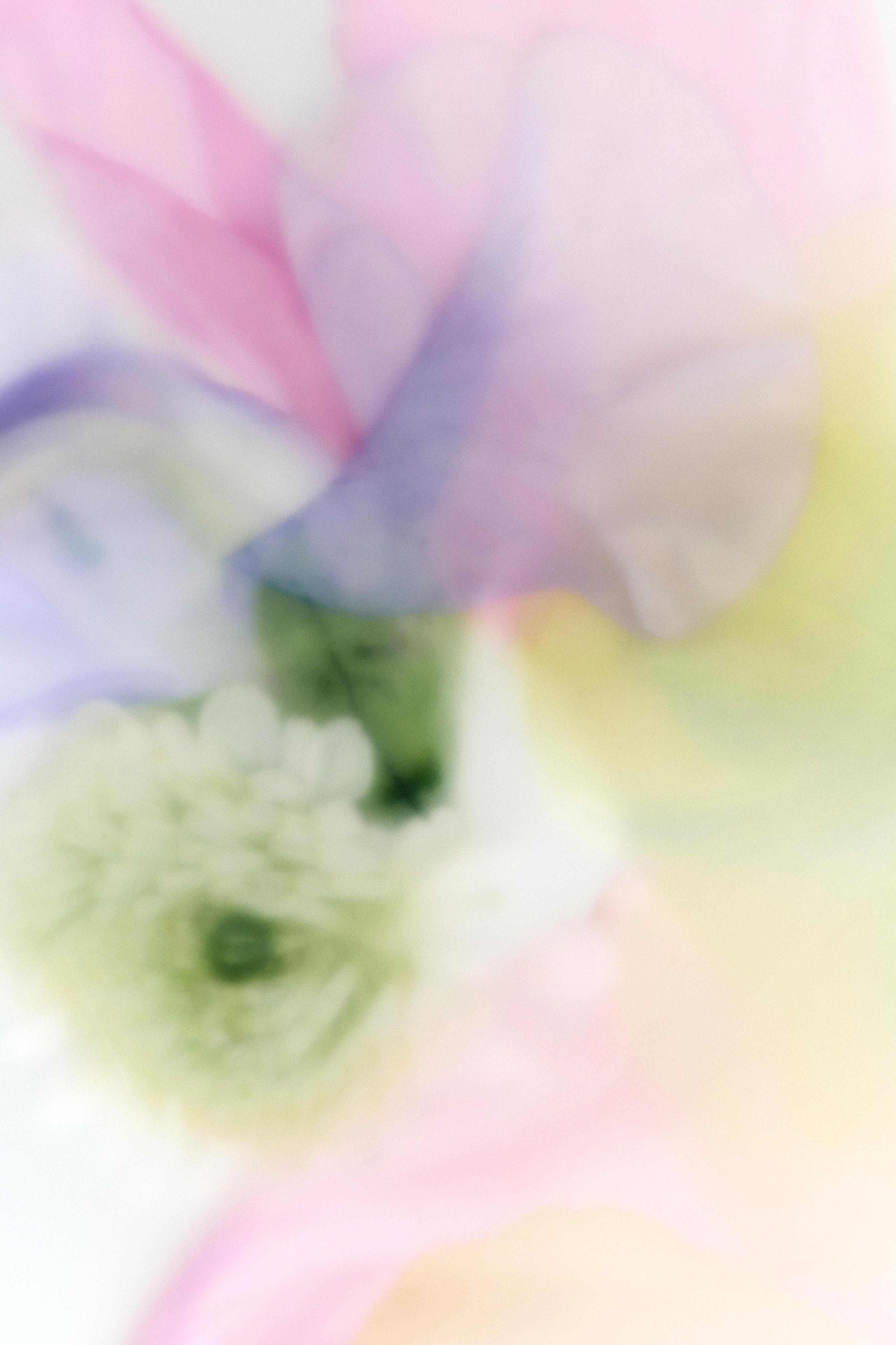 LIGHTLY BLOOM EDP 30ML (1.01 FL. OZ).